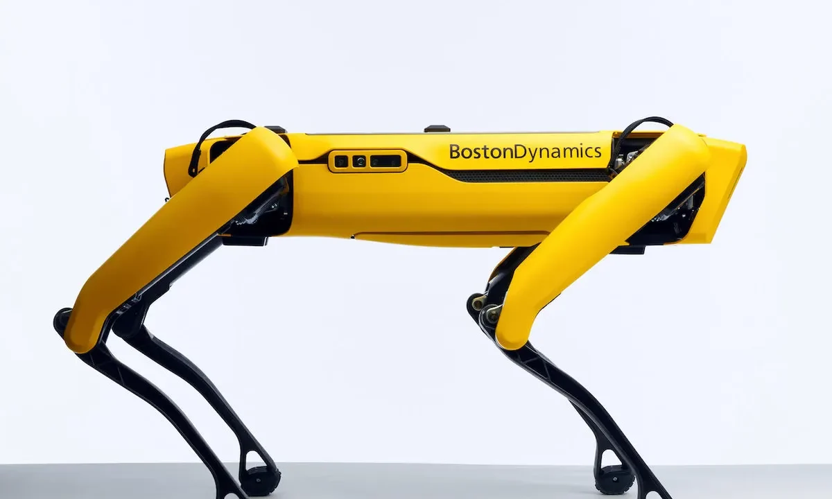 Boston dynamic robot. Hu