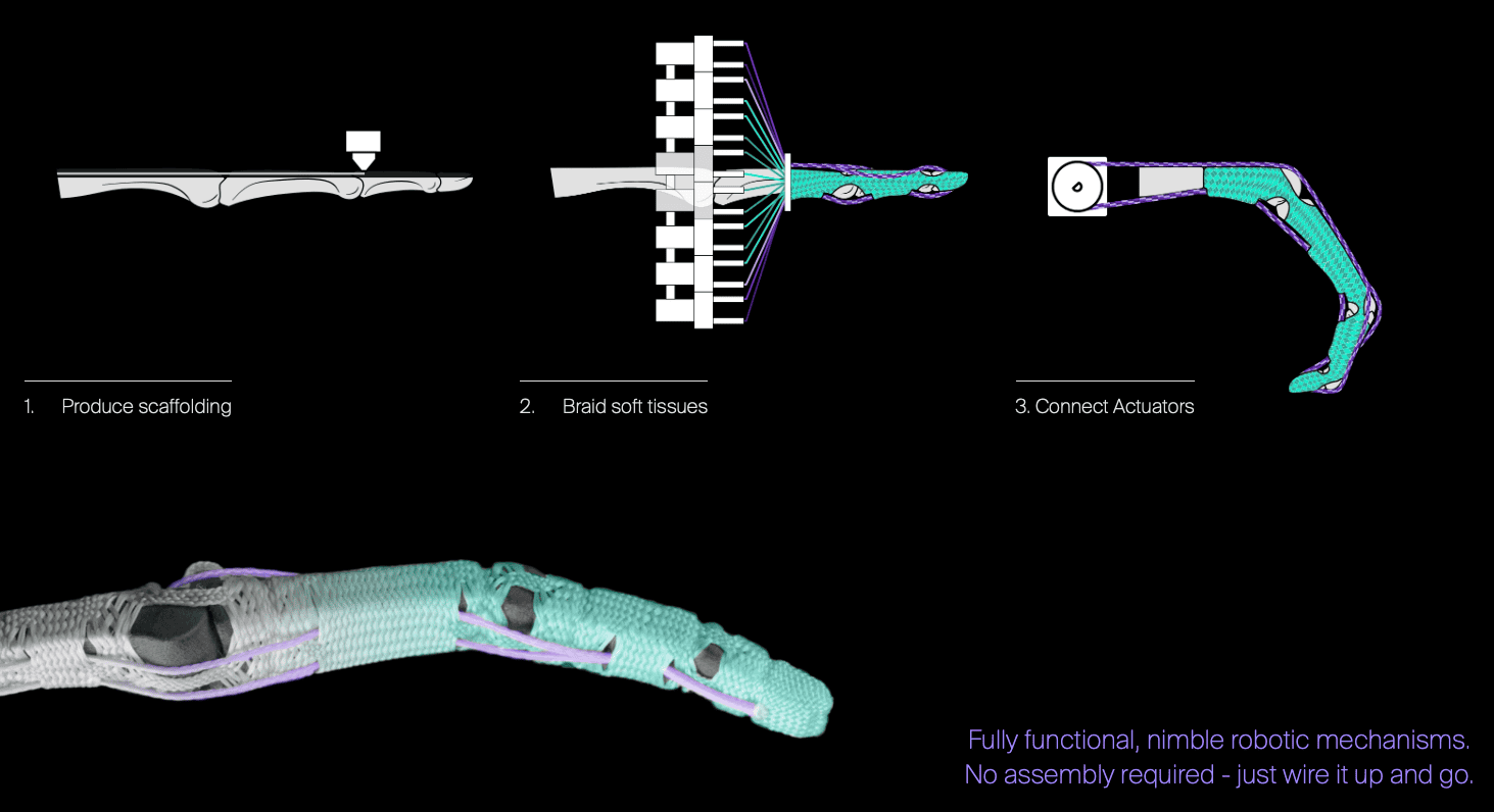 Robot testet készít a 3d szövőgép - magyar innováció 5 A close-up of a model of a hand
ai-generated content may be incorrect.
